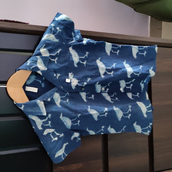 Anokhi Other - Anokhi kids Shirt New 2-3 years